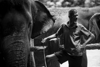 2016 Sri 2016 Sri LankaBolivia 15