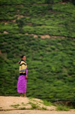 2016 Sri 2016 Sri LankaBolivia 22