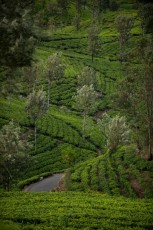 2016 Sri 2016 Sri LankaBolivia 25