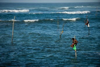 2016 Sri 2016 Sri LankaBolivia 28