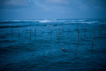 2016 Sri 2016 Sri LankaBolivia 29