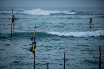 2016 Sri 2016 Sri LankaBolivia 31