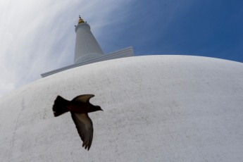 2016 Sri 2016 Sri LankaBolivia 53