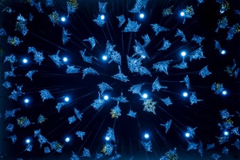 2018 China Inner Mongolia 02