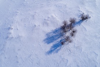 2018 China Inner Mongolia 40